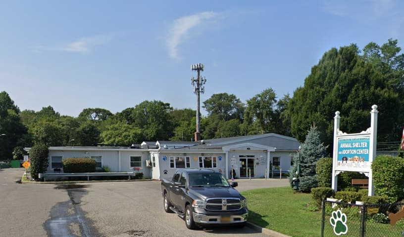 Town of Hempstead Animal Shelter