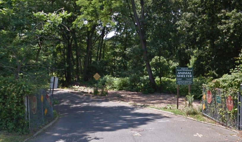 The Town of North Hempstead Animal Shelter