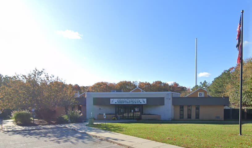 Brookhaven Animal Shelter