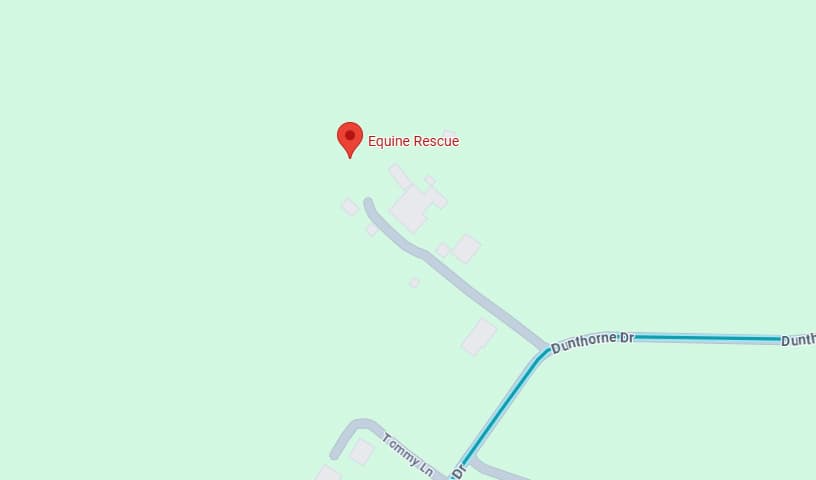 Equine Rescue, Inc.