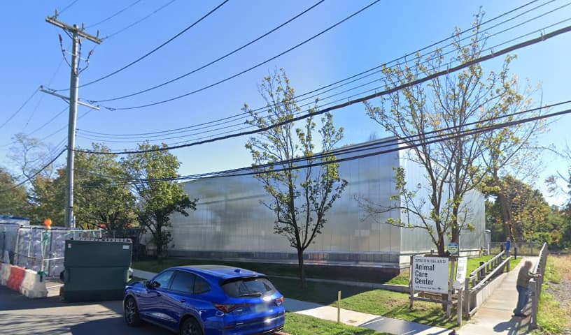 Staten Island Animal Control