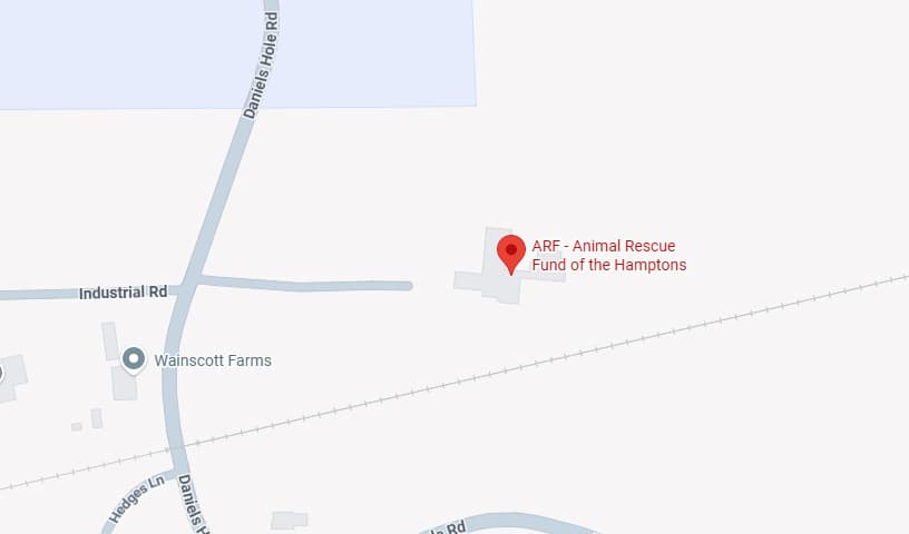 ARF - Animal Rescue Fund of the Hamptons