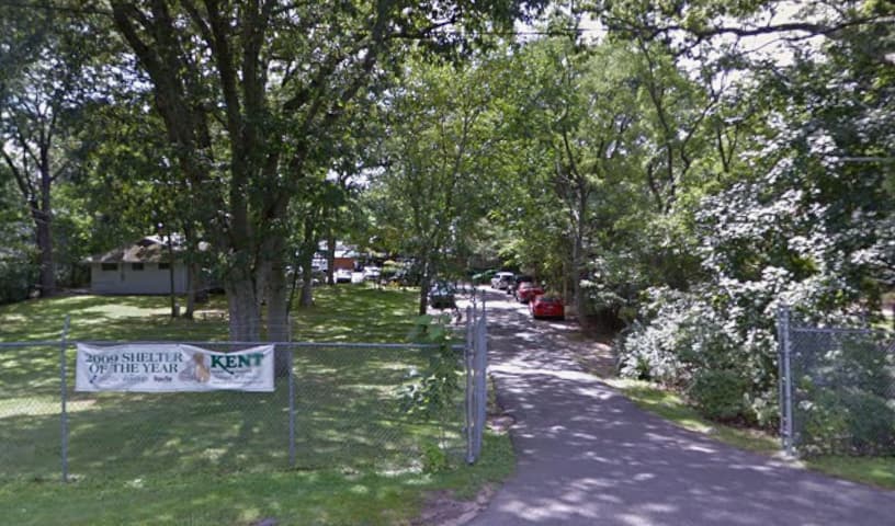 Kent Animal Shelter