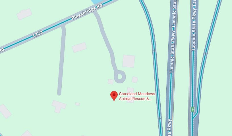 Graceland Meadows Animal Rescue & Sanctuary