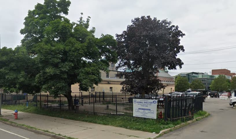 The City of Buffalo Animal Shelter