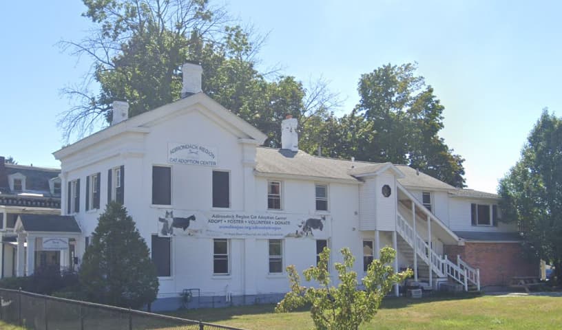 Adirondack Region Cat Adoption Center