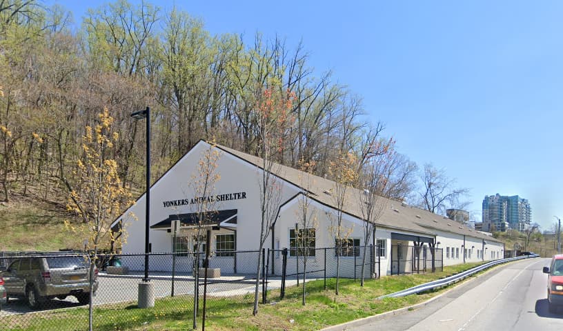 Yonkers Animal Shelter