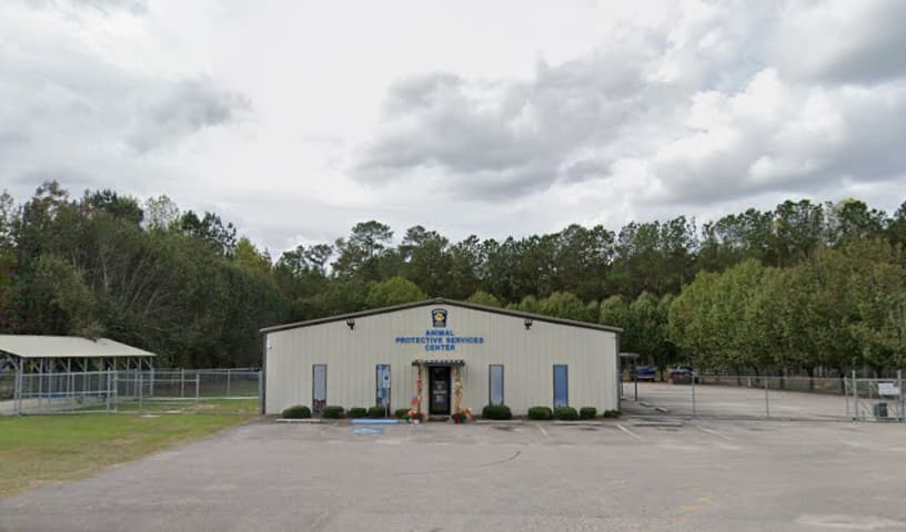 Columbus County Animal Control (Columbus County Animal Protective Services)
