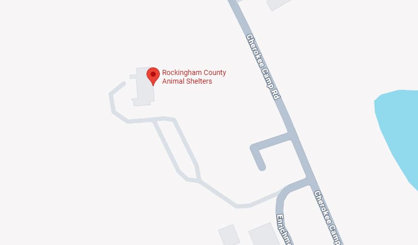 Rockingham County Animal Shelters