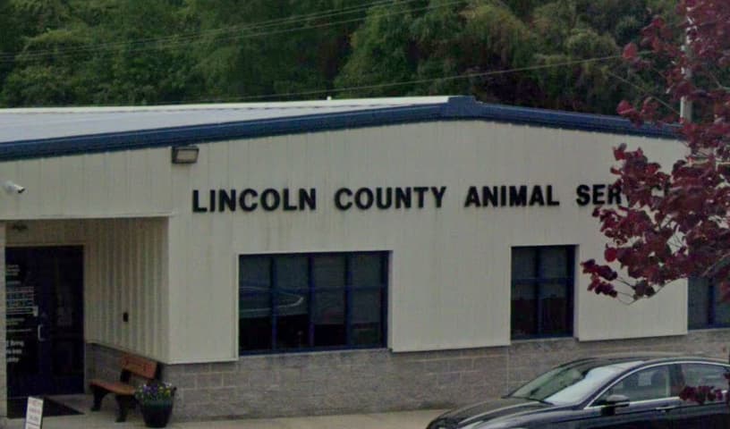 Lincoln County Animal Services
