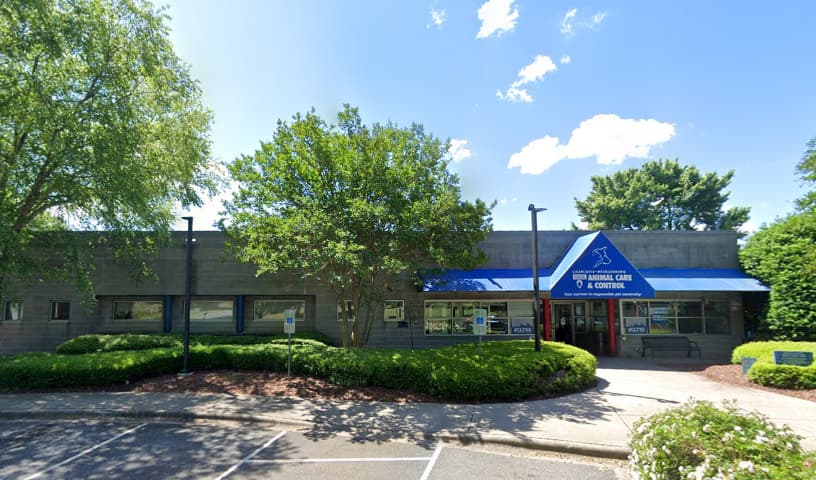 Charlotte City Animal Care and Control