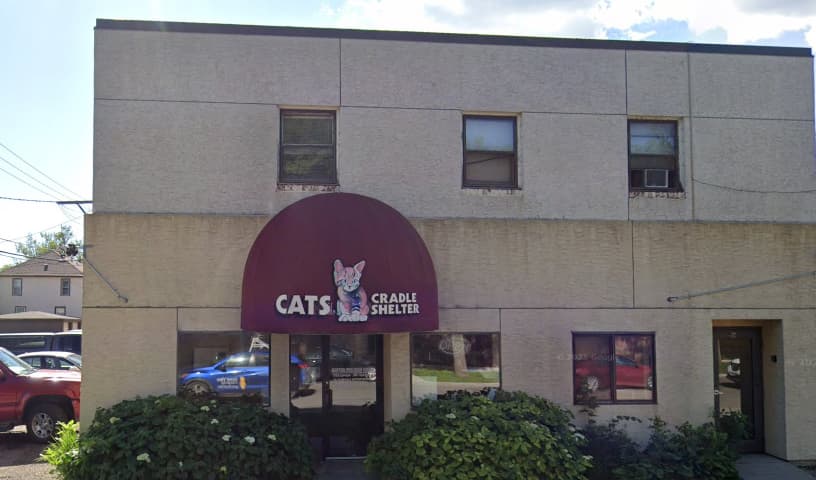 Cats Cradle Shelter