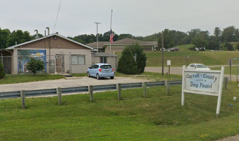 Carroll County Dog Pound
