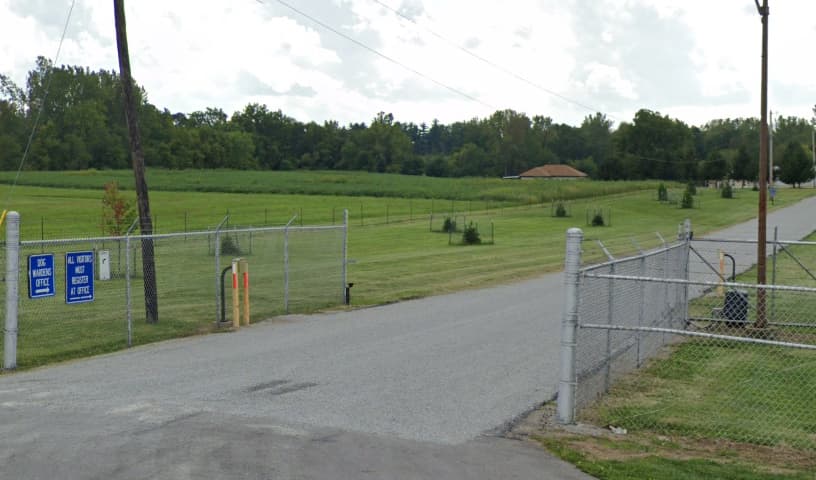 Clinton County The Office of the Dog Warden