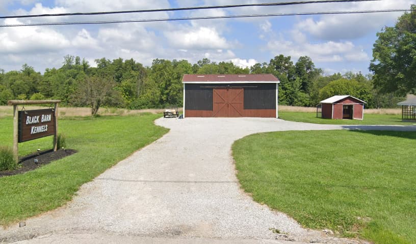 Black Barn Kennels