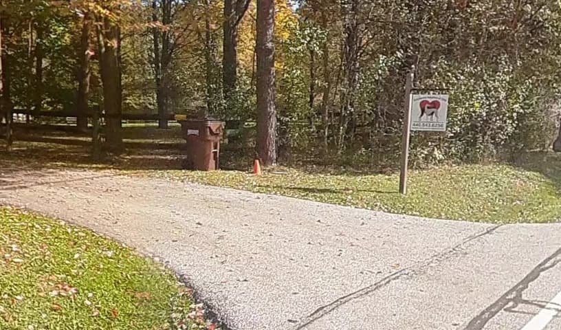 Greyhound Adoption of Ohio