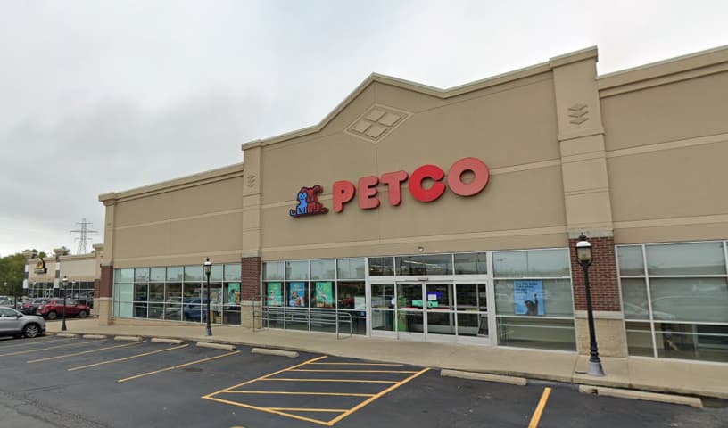 Petco Dog Training