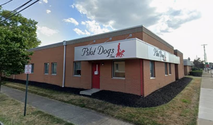 Pilot Dogs