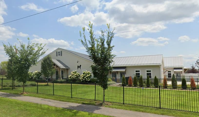 Gigi's Dog Care Campus