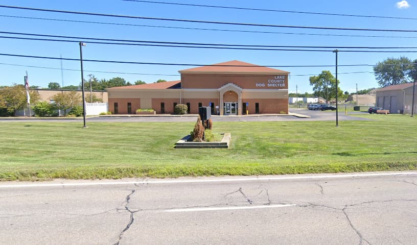 Lake County Dog Shelter