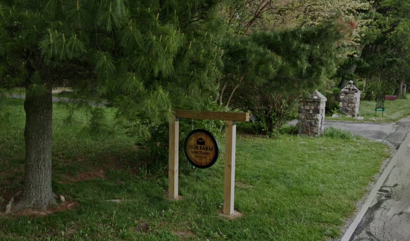 Our Farm Sanctuary