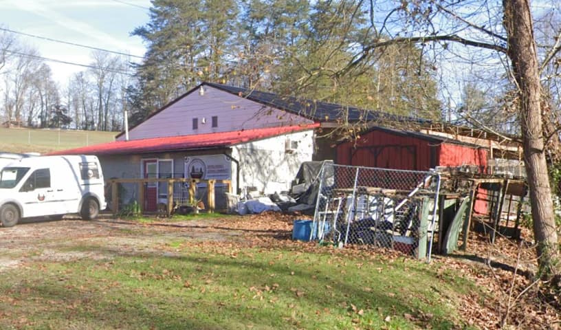 Cabin Critters Rescue