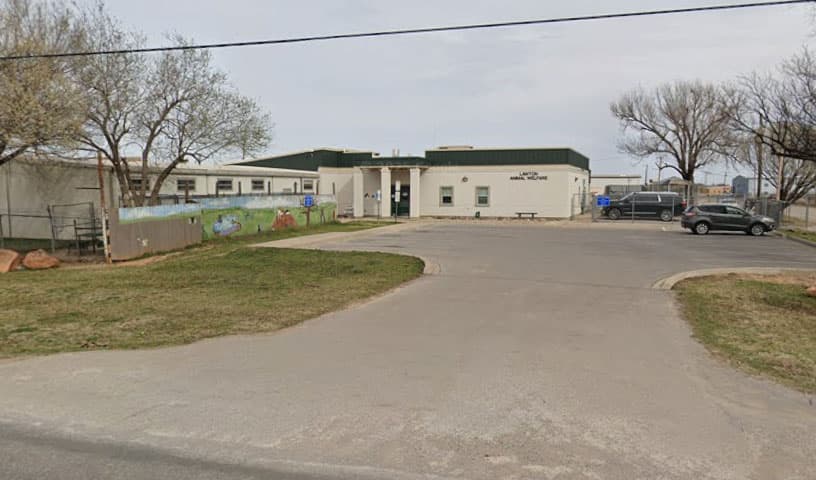 Lawton Animal Welfare