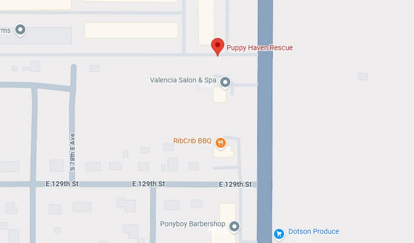Puppy Haven Rescue