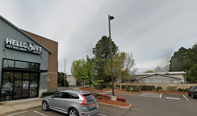 Hello Vet Pet Wellness Center