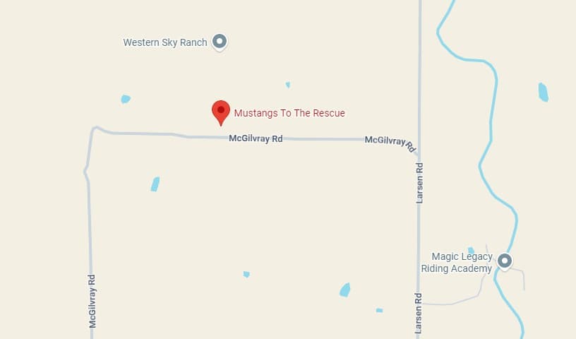 Mustangs To The Rescue