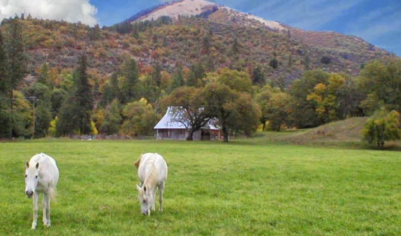 Sanctuary One