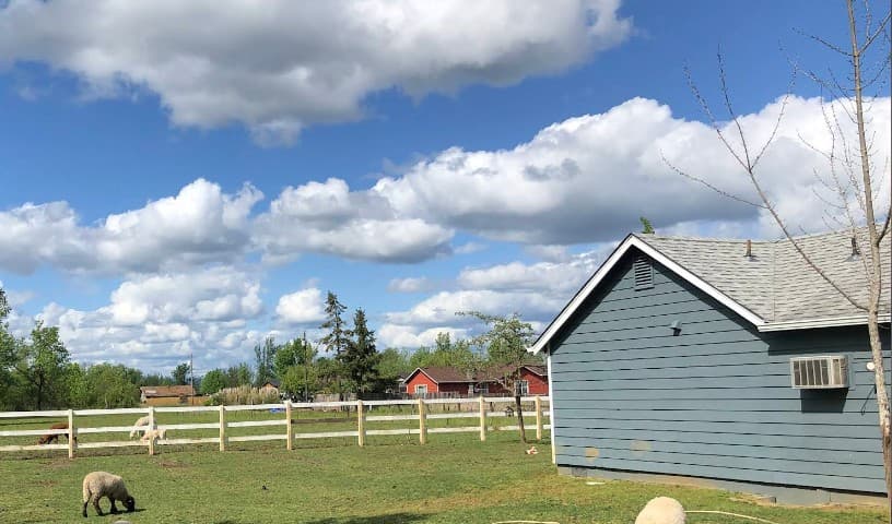Welcome Home Animal Sanctuary