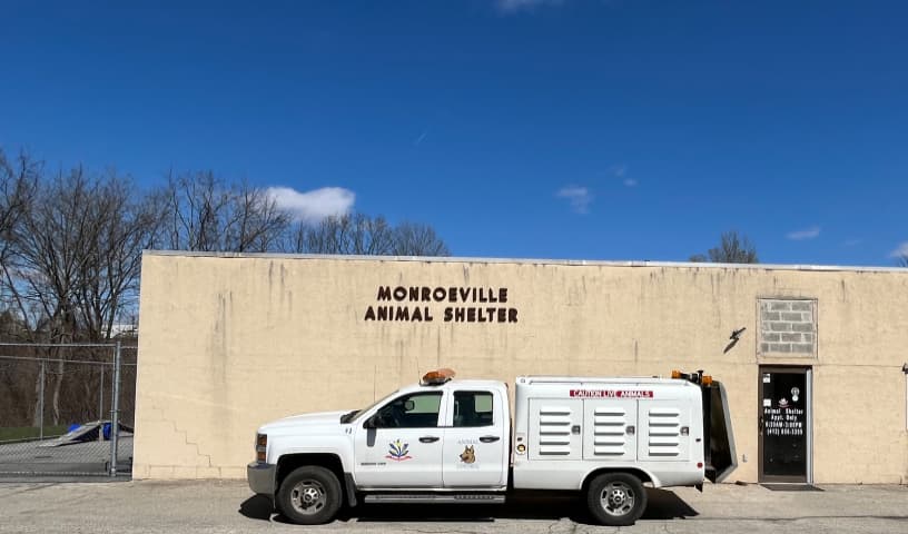 Animal Control Monroeville Borough