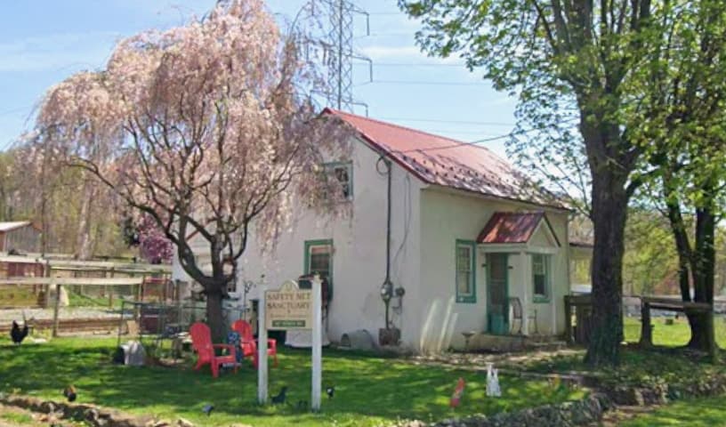 Safety Net Sanctuary