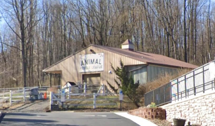 Animal Rescue League of Berks County