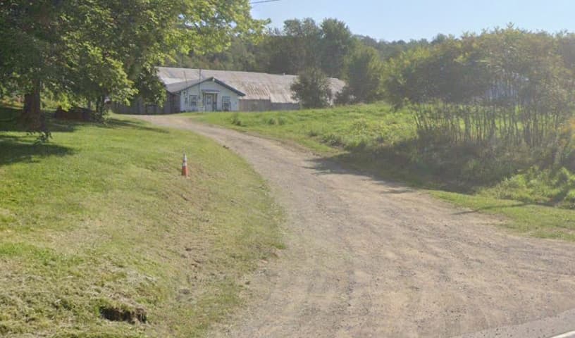 Down Home Dog Resort