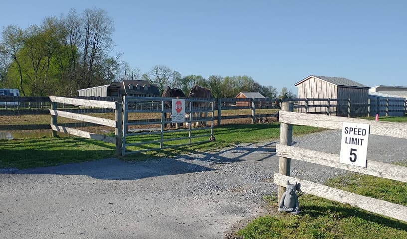 Speranza Animal Rescue