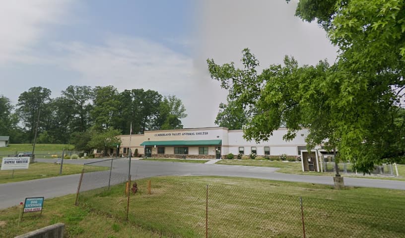 Cumberland Valley Animal Shelter