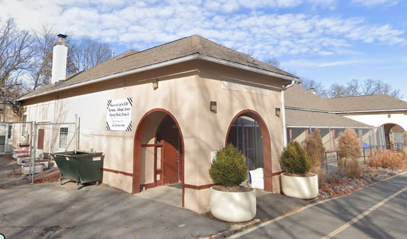 St. Cats & Dogs Inc