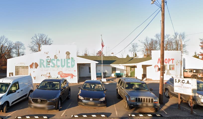 Luzerne County SPCA