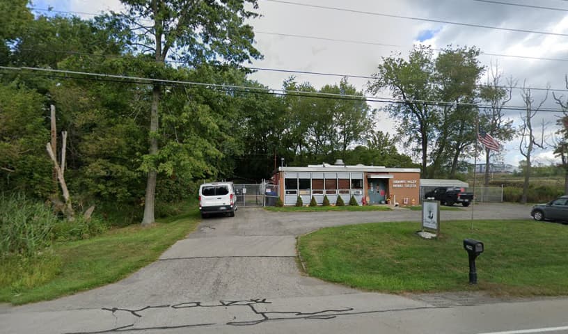 Shenango Valley Animal Shelter