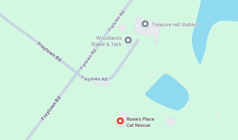 Roxie's Place Cat Rescue