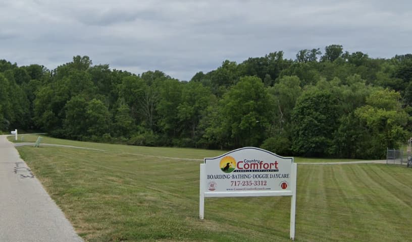Country Comfort Kennels & Camp for Pets