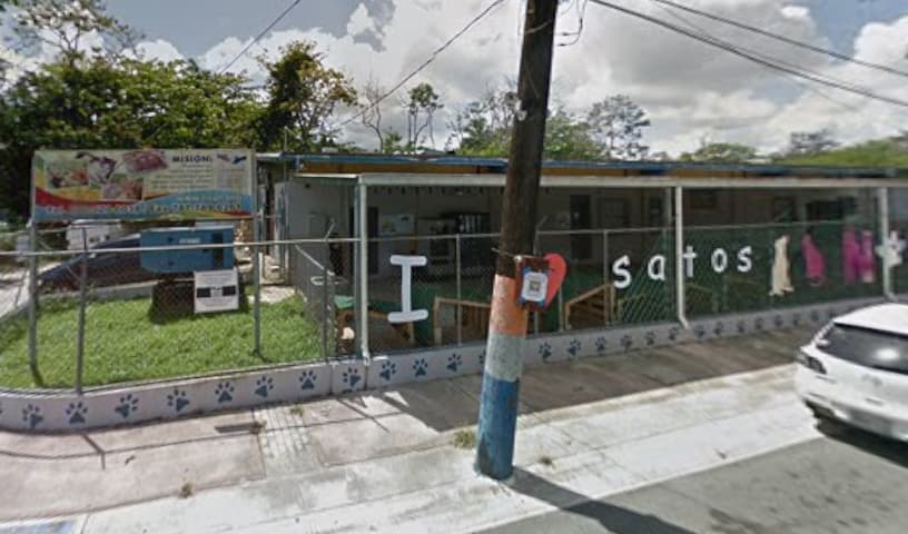 Humane Society of Puerto Rico