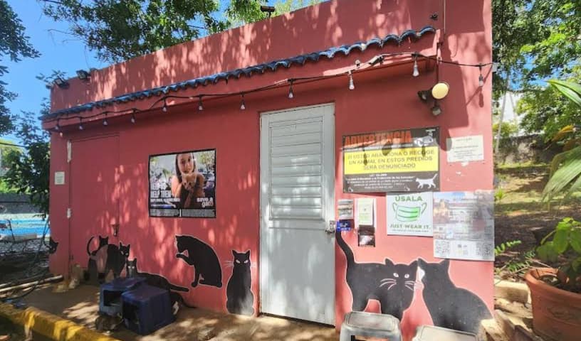 Save A Gato (SAG)