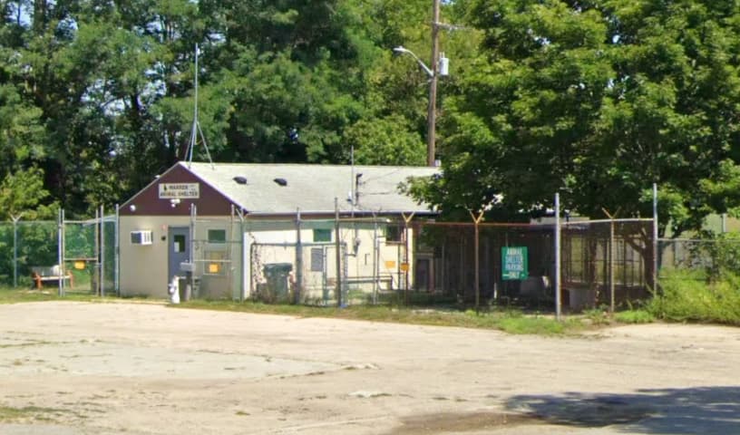 Warren Animal Shelter