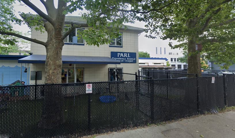 Providence Animal Rescue League