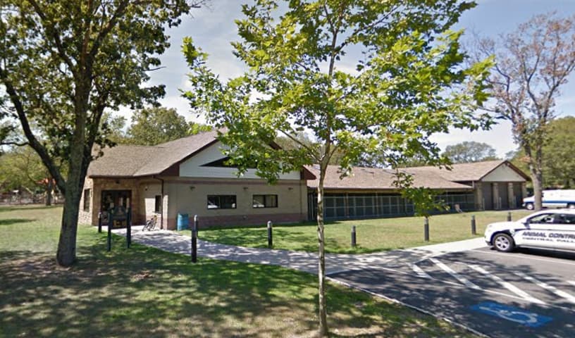 Pawtucket Animal Control