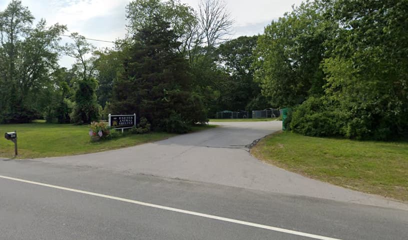 Exeter Town Animal Shelter
