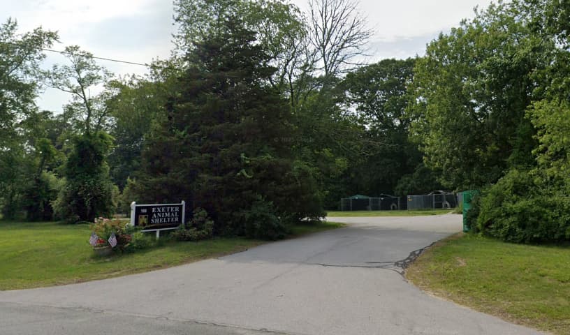 Exeter Animal Shelter